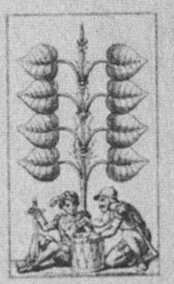 Datei:SPKW-Q15361-Cary Collection 4-page 0296-03-dt-gruen-8.jpg
