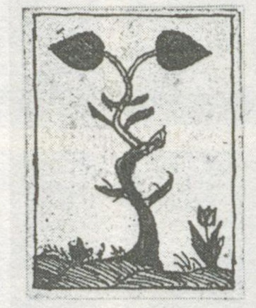 Datei:SPKW-Q29921-bnm-scan-s083r-z02s01-dt-gruen-daus.jpg