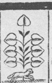 Datei:SPKW-Q13874-Cary Collection 4-page 0230-02-dt-gruen-7.jpg