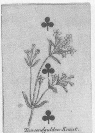Datei:SPKW-Q13541-Cary Collection 3-page 0042-04-frz-kreuz-3.jpg