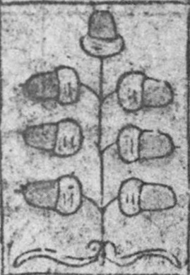 Datei:SPKW-Q15347-GER sheet 245-k08-GER sheet 244-dt-eichel-7.jpg
