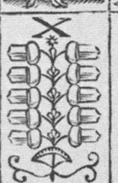 Datei:SPKW-Q13874-Cary Collection 4-page 0230-11-dt-eichel-10.jpg