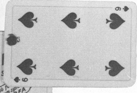 Datei:SPKW-Q15181-Cary Collection 3-page 0373-04-frz-pik-6.jpg