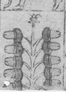 Datei:SPKW-Q15336-Cary Collection 4-page 0282-15-dt-eichel-10.jpg