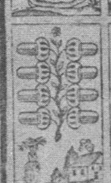 Datei:SPKW-Q15331-Cary Collection 4-page 0280-07-dt-eichel-6.jpg