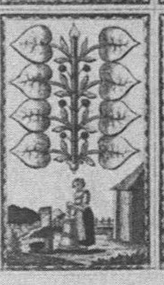 Datei:SPKW-Q15358-Cary Collection 4-page 0294-32-dt-gruen-8.jpg