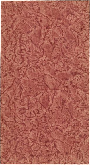Datei:SPKW-Q10985-Studien-55 Radau-Flöter Regensburg-s0213-09-rueckseite.jpg