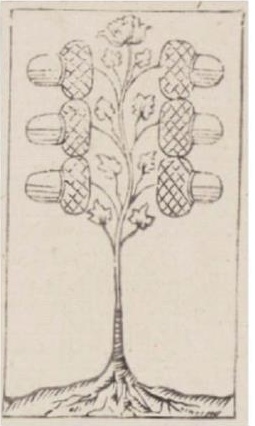 Datei:SPKW-Q10938-Studien-55 Radau-Flöter Regensburg-s0249-05-dt-eichel-6.jpg