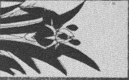 Datei:SPKW-Q15711-JAP sheet 290-k48-JAP sheet 290-einzelkarte.jpg