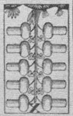 Datei:SPKW-Q15446-HUN sheet 277-k20-HUN sheet 277-dt-eichel-10.jpg