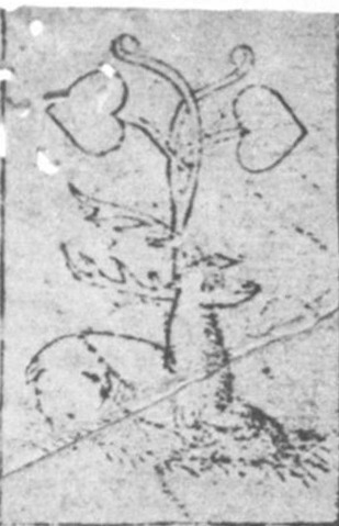 Datei:SPKW-Q15335-GER sheet 232-k01-GER sheet 232-einzelkarte.jpg