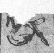 Datei:SPKW-Q15341-GER sheet 238-k16-GER sheet 238-einzelkarte.jpg