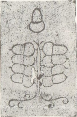 Datei:SPKW-Q1867-karte-02-dt-eichel-9.jpg