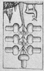 Datei:SPKW-Q15446-HUN sheet 277-k09-HUN sheet 277-dt-eichel-7.jpg