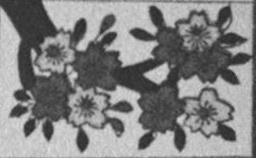 Datei:SPKW-Q15711-JAP sheet 290-k20-JAP sheet 290-einzelkarte.jpg