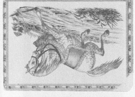 Datei:SPKW-Q13531-Cary Collection 3-page 0039-11-einzelkarte.jpg