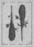 Datei:SPKW-Q15873-SPA sheet 299-k39-SPA sheet 299-es-stab-2.jpg