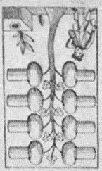 Datei:SPKW-Q15446-HUN sheet 277-k02-HUN sheet 277-dt-eichel-8.jpg