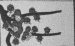 Datei:SPKW-Q15711-JAP sheet 290-k05-JAP sheet 290-einzelkarte.jpg