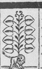 Datei:SPKW-Q13874-Cary Collection 4-page 0230-03-dt-gruen-8.jpg