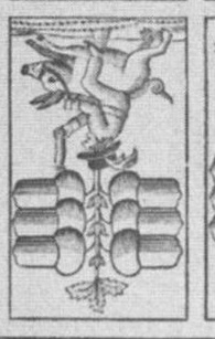 Datei:SPKW-Q13802-Cary Collection 4-page 0214-13-dt-eichel-6.jpg