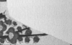 Datei:SPKW-Q15711-JAP sheet 290-k04-JAP sheet 290-einzelkarte.jpg