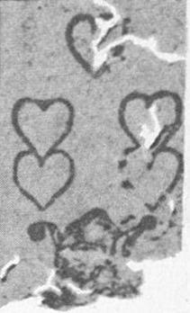 Datei:SPKW-Q13806-AUS sheet 31-k13-AUS sheet 31-dt-herz-5.jpg