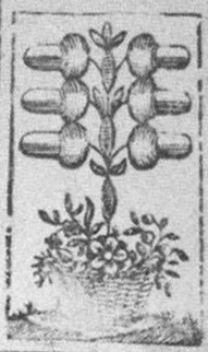 Datei:SPKW-Q15330-GER sheet 227-k31-GER sheet 227-dt-eichel-6.jpg