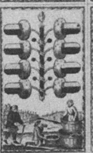 Datei:SPKW-Q15358-Cary Collection 4-page 0294-27-dt-eichel-8.jpg