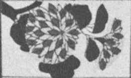 Datei:SPKW-Q15711-JAP sheet 290-k25-JAP sheet 290-einzelkarte.jpg