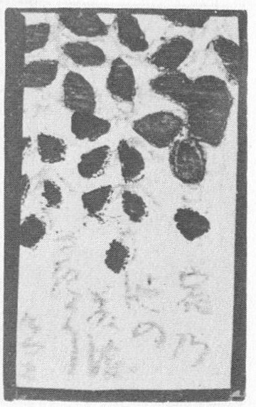 Datei:SPKW-Q15651-Cary Collection 4-page 0072-14-einzelkarte.jpg