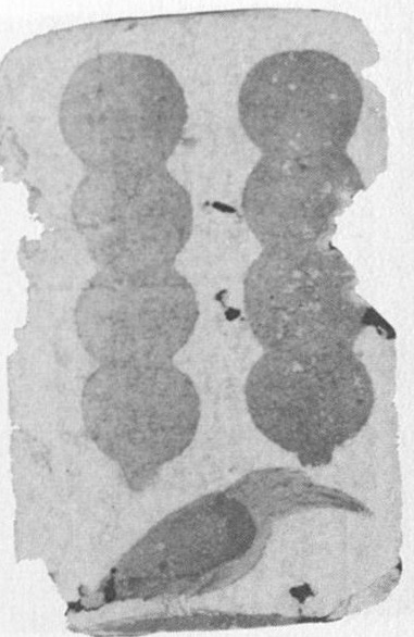 Datei:SPKW-Q15122-Cary Collection 3-page 0358-05-dt-schellen-8.jpg
