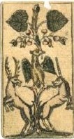 Grün-Daus (dt.)