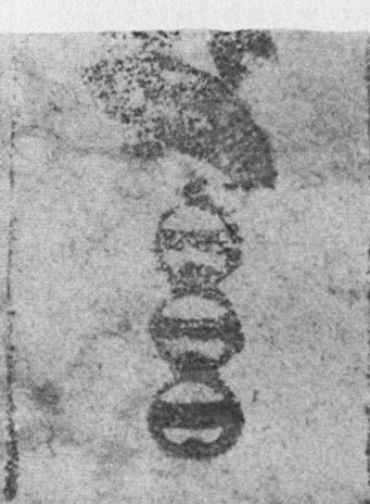 Datei:SPKW-Q15346-Cary Collection 4-page 0286-07-dt-schellen-3.jpg