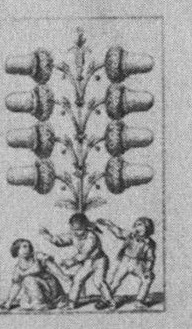 Datei:SPKW-Q15361-Cary Collection 4-page 0296-06-dt-eichel-8.jpg