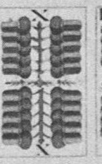 Datei:SPKW-Q13818-Cary Collection 4-page 0222-54-dt-eichel-10.jpg