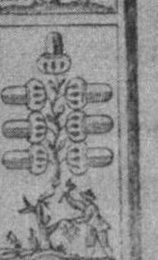 Datei:SPKW-Q15331-Cary Collection 4-page 0280-12-dt-eichel-7.jpg