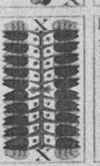 Datei:SPKW-Q13818-Cary Collection 4-page 0222-38-dt-eichel-10.jpg