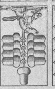 Datei:SPKW-Q13802-Cary Collection 4-page 0214-08-dt-eichel-9.jpg