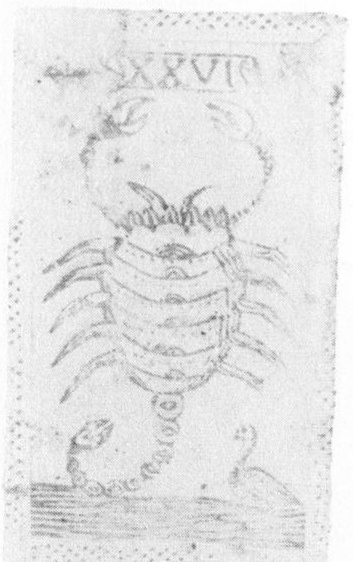 Datei:SPKW-Q15572-Cary Collection 4-page 0051-05-minchiate-26.jpg