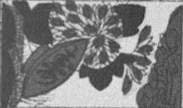 Datei:SPKW-Q15711-JAP sheet 290-k26-JAP sheet 290-einzelkarte.jpg