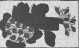 Datei:SPKW-Q15711-JAP sheet 290-k30-JAP sheet 290-einzelkarte.jpg