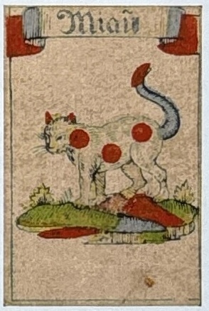 Datei:SPKW-Q861-karte-08-hexeln-miau.jpg