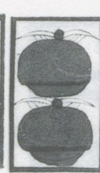 Datei:SPKW-Q3725-t123-pic 2026-09-12 164009-r-z1-s11-einzelkarte.jpg