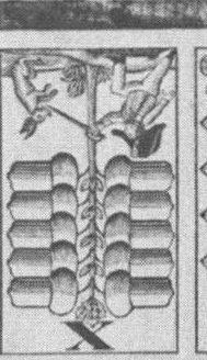 Datei:SPKW-Q13802-Cary Collection 4-page 0214-02-dt-eichel-10.jpg