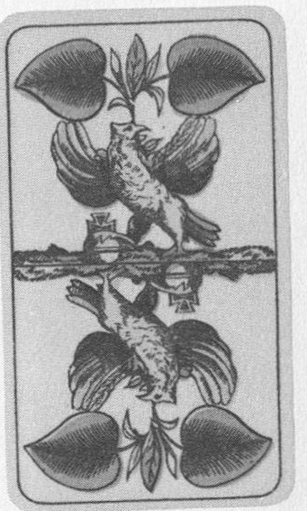 Datei:SPKW-Q14774-Cary Collection 3-page 0288-11-dt-gruen-daus.jpg