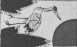 Datei:SPKW-Q15711-JAP sheet 290-k10-JAP sheet 290-einzelkarte.jpg