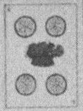 Datei:SPKW-Q15873-SPA sheet 299-k05-SPA sheet 299-es-muenze-4.jpg