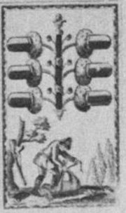 Datei:SPKW-Q15358-Cary Collection 4-page 0294-36-dt-eichel-6.jpg