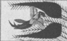 Datei:SPKW-Q15711-JAP sheet 290-k07-JAP sheet 290-einzelkarte.jpg